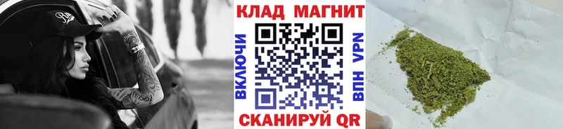 Где продают наркотики Приморск ГАШ  Бошки Шишки  Меф 