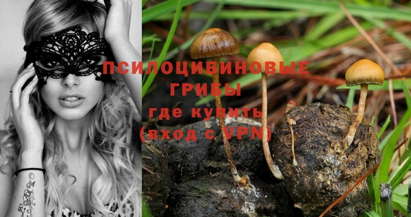 гашик Аркадак