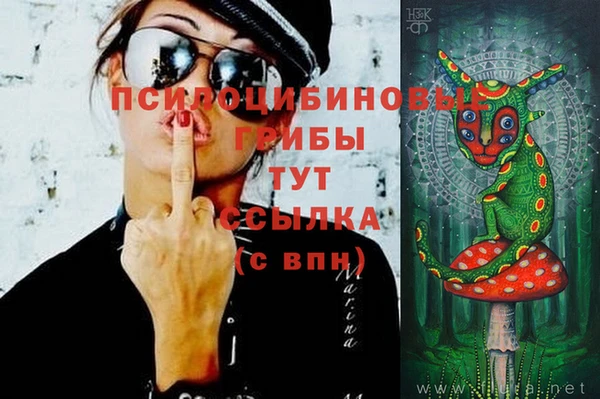 гашик Аркадак