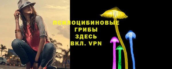 гашик Аркадак