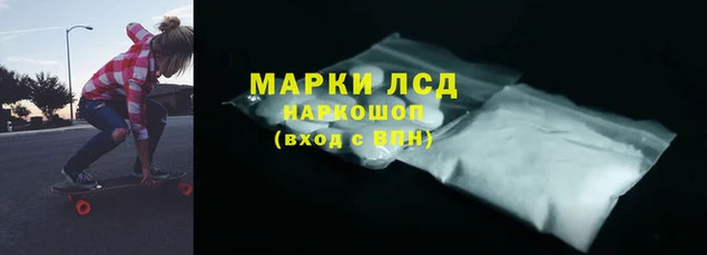 гашик Аркадак