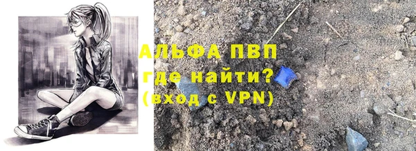 гашик Аркадак
