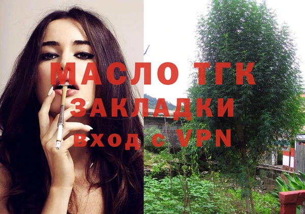 гашик Аркадак