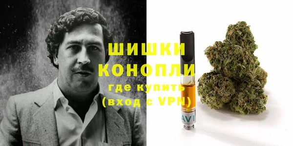 гашик Аркадак