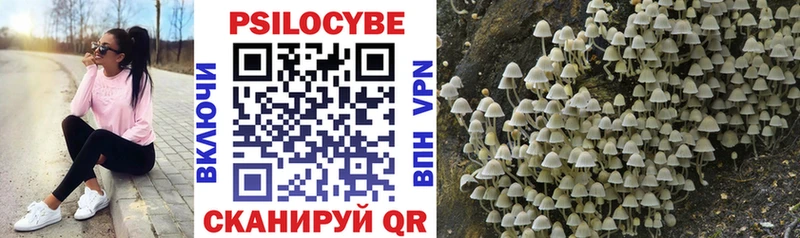 Псилоцибиновые грибы Psilocybe blacksprut как зайти Приморск
